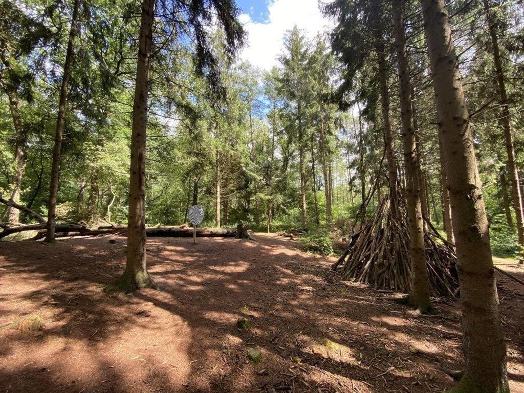 Ferienhaus Seestern Am Harkebruegger See Mit Sauna Und Kamin Barssel  エクステリア 写真