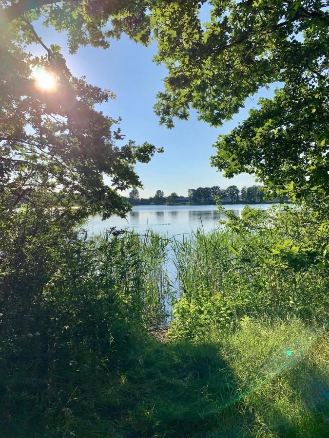 Ferienhaus Seestern Am Harkebruegger See Mit Sauna Und Kamin Barssel  エクステリア 写真